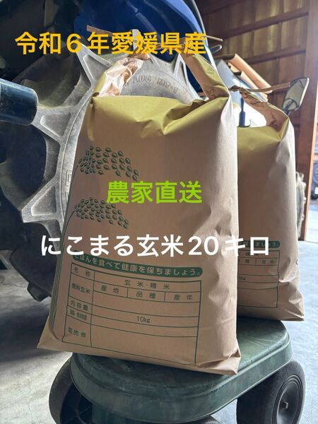 【農家直送】にこまる 米 令和6年度産 玄米 約20キロ