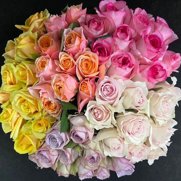 産地直送!鮮度抜群!《切り花 ・生花 》おまかせミックス 30㎝SMサイズ 50本 薔薇 花束