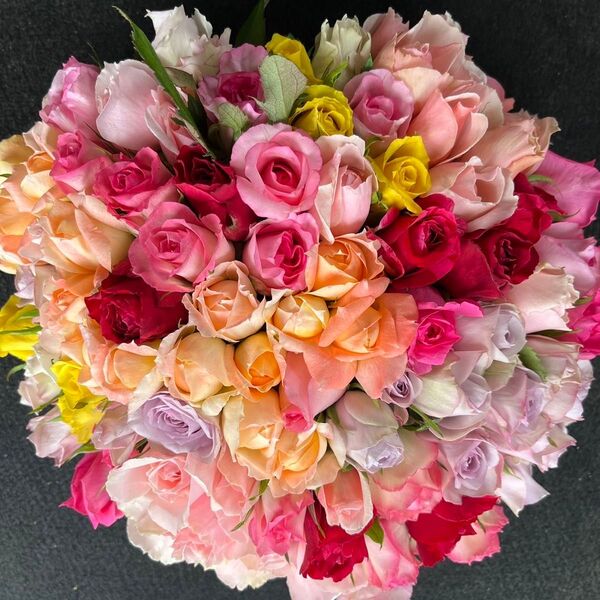 新商品!!短めバラ 《切り花 生花 》おまかせMIX 20㎝100本 産地直送!鮮度抜群! 花束 薔薇