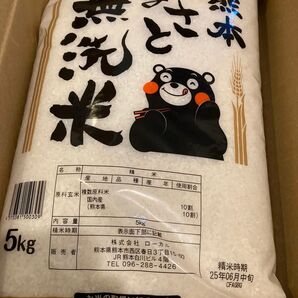 無洗米 熊本県産 10kg