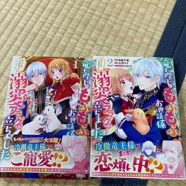 竜王陛下のもふもふお世話係 転生した平凡女子に溺愛フラグが立ちました
