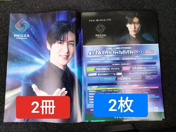 4点 目黒蓮 カタログ フライヤー レグザ REGZA パンフレット カタログ フライヤー チラシ