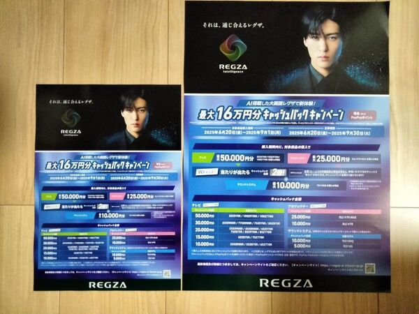 2点 目黒蓮 販促版チラシ フライヤー A3サイズレグザ REGZA チラシ A3サイズ