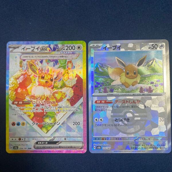 ポケモンカード テラスタルフェスex イーブイex イーブイ SAR マスターボール セット