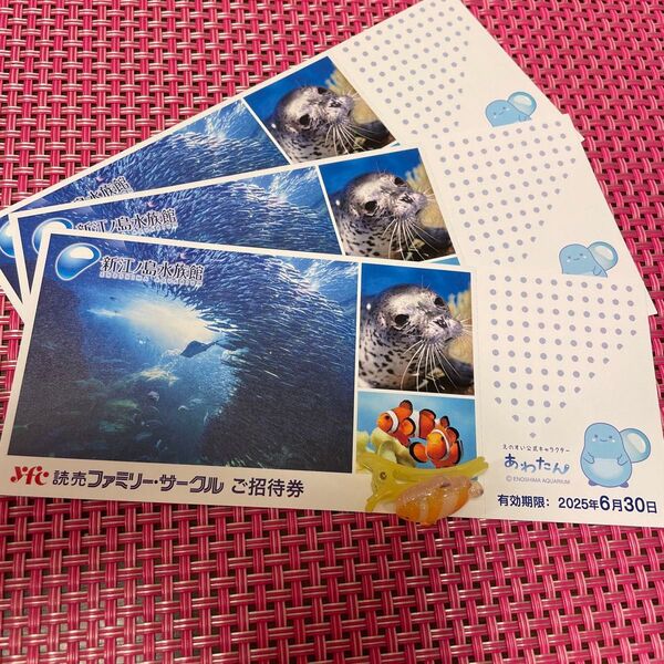 新江ノ島水族館 えのすい 招待券3枚セット 有効期限2025年6月30日