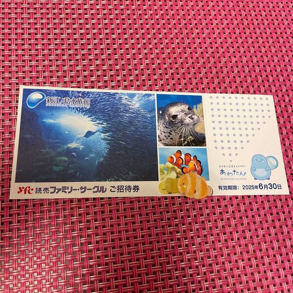 新江ノ島水族館 えのすい 招待券1枚 有効期限2025年6月30日