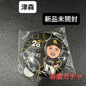 福岡ソフトバンクホークス 津森宥紀投手 缶バッジ
