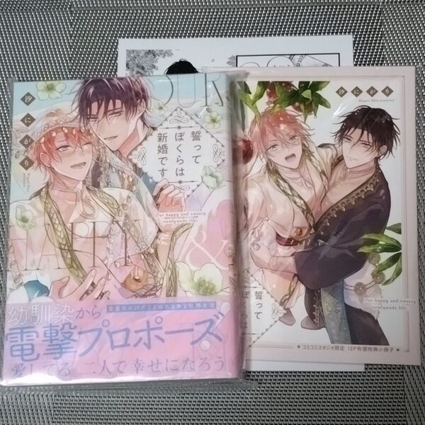 誓ってぼくらは新婚です 汐にがり BLコミック
