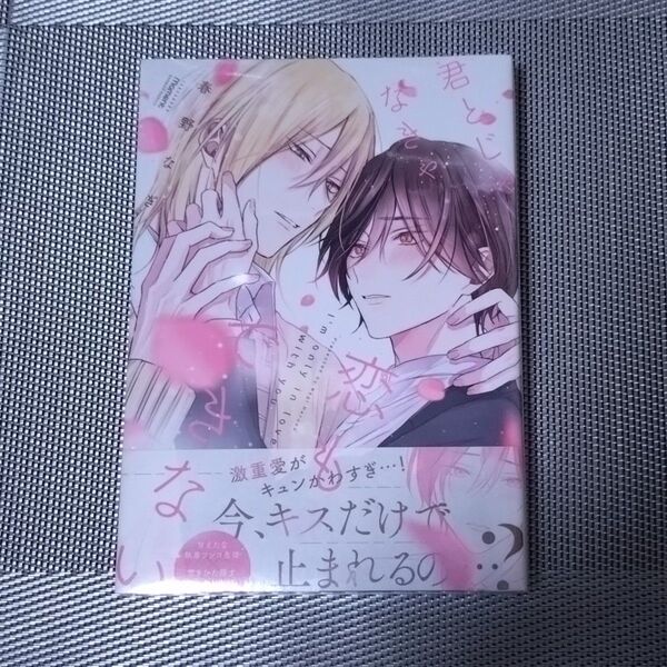 君とじゃなきゃ恋もできない 春野なぎ BLコミック