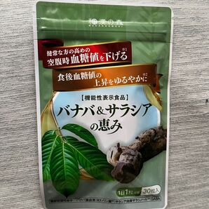 バナバ& サラシアの恵み 和漢の森 1袋