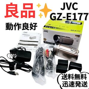 JVC Victor Everio GZ-E117-N ピンク ビデオカメラ