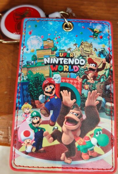 USJ スーパーニンテンドー ワールド マリオ ドンキーコング カントリー リール付き パスケース