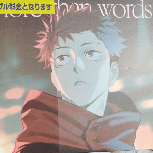 期間生産限定盤 描き下ろしジャケット仕様 羊文学 CD/more than words 23/9/27発売 レンタル落ちCD