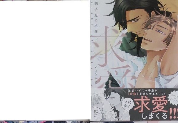 片恋子息の求愛(応募券なし)