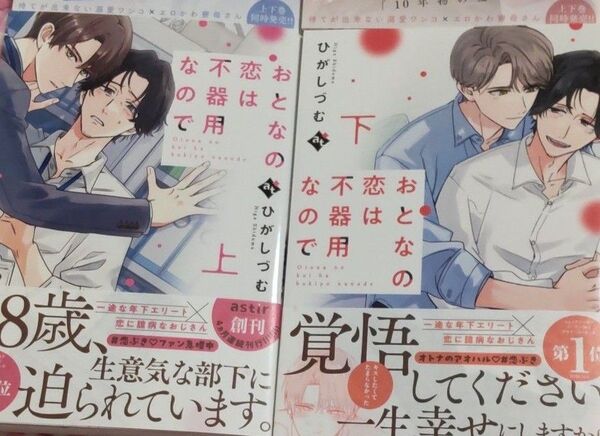 おとなの恋は不器用なので 上下 /