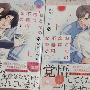 おとなの恋は不器用なので 上下 /