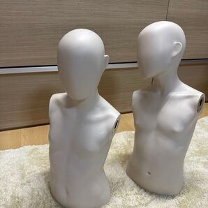 【2体セット】子ども マネキン トルソー 上半身