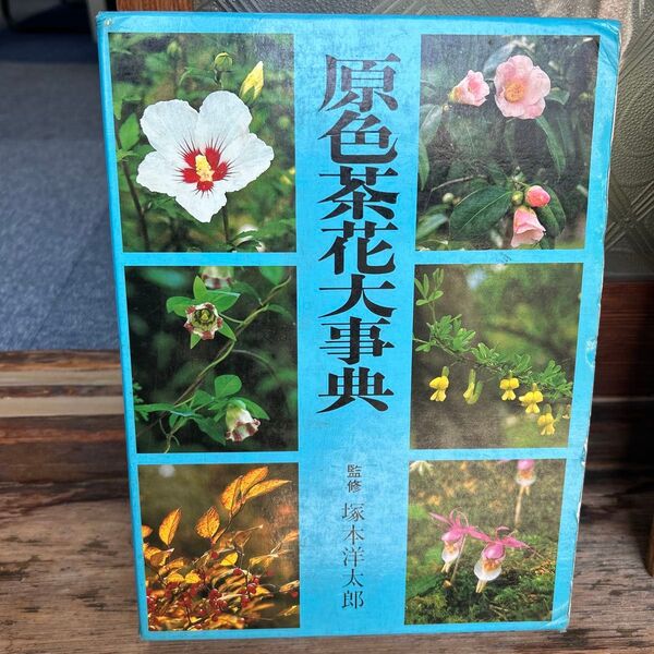 原色茶花大事典 監修: 塚本洋太郎