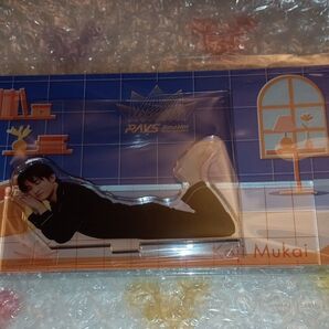 SnowMan 向井康二 アクリルスタンド パジャマver 新品未開封 グッズ ドーム RAYS スノーマン こーじ アクスタ