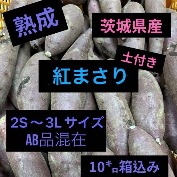 熟成紅まさりA.B混在10㌔箱込み