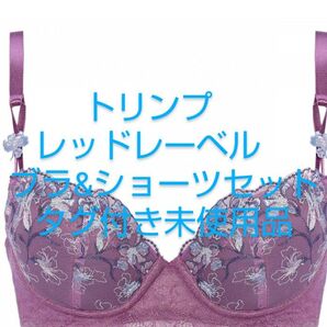 トリンプ レッドレーベル タグ付き未使用品 ブラ(C70)&ショーツ(M)セット