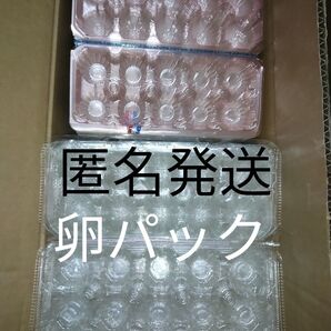 卵パック 透明容器 玉子10個入りパック 匿名 おまけ