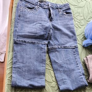 earnest sewn デニム ラインストーン