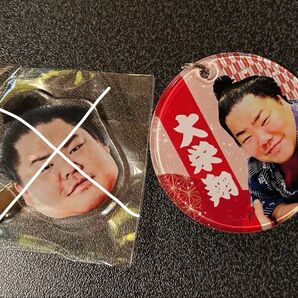 大相撲ガチャ 大栄翔関ぷくぷくキーホルダー