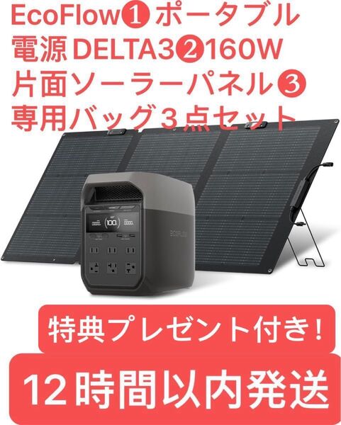 EcoFlow ポータブル電源 DELTA 3 1024Wh+160W 片面ソーラーパネルGen2 +専用バッグ3点セット特典付き