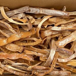 500g 天草産 干たけのこ 乾燥 500グラム 送料込み ゆうパックで発送