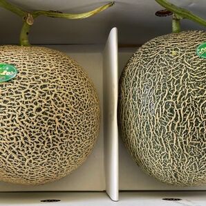 ④ 肥後グリーン 熊本県産 甘さ抜群 2玉入 箱込みで3.5kg以上 箱はメロン箱で発送 数量限定3セット