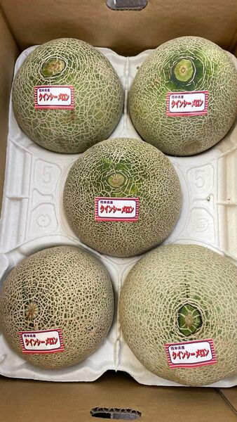 ④ クインシーメロン 熊本県産 赤肉 3〜5玉入 訳あり キズあり 規格外 箱込みで4kg以上 送料込み 限定5セット