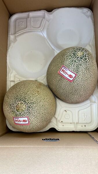② クインシー 赤肉メロン 熊本県産 2玉入 糖度16度 箱込みで4.5kg以上 箱は専用箱で発送 数量限定1セット