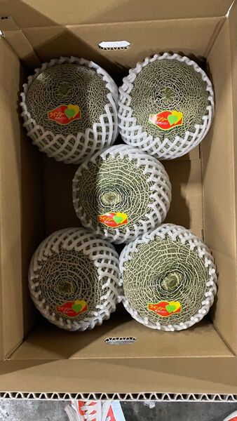 ⑤ クインシーメロン 熊本県産 赤肉 4〜5玉入 送料込み 箱はメロン箱で発送します。限定2セット