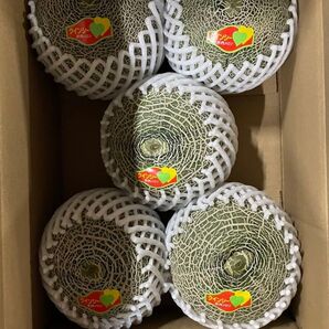 ⑤ クインシーメロン 赤肉 熊本県産 規格外 キズあり 4〜5玉入 送料込み 箱はメロン箱で発送します。限定5セット