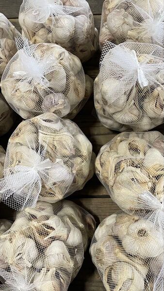 ⑤ にんにく 天草産 大蒜 まとめて 箱込み5kg以上 キズあり 送料込み 箱は簡易箱で発送 大量入荷