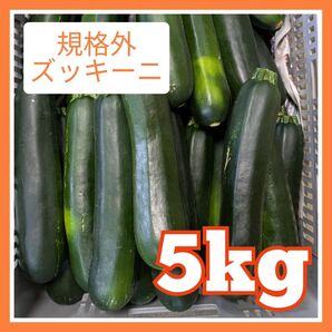 規格外ズッキーニ5キロ