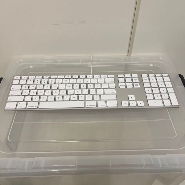 Apple 純正 USB Keyboard キーボード A1243 US配列