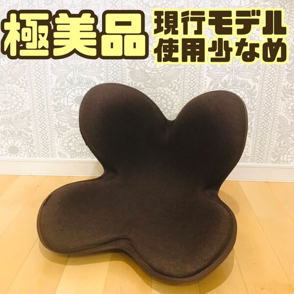 【極美品】 MTG スタイルスタンダード ブラウン 姿勢矯正 骨盤矯正