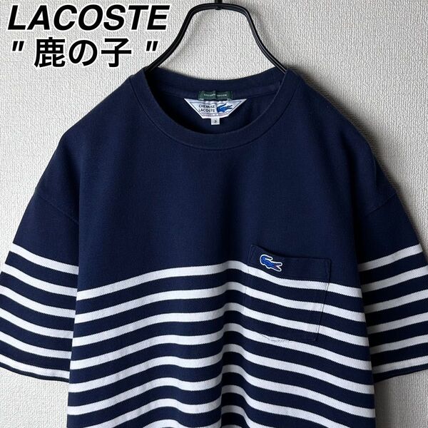 LACOSTE 鹿の子 EX 別注 ボーダー Tシャツ ワニロゴ ラコステ