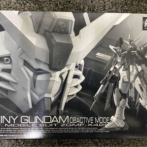 RG 1/144 デスティニーガンダム ディアクティブモード 未組立