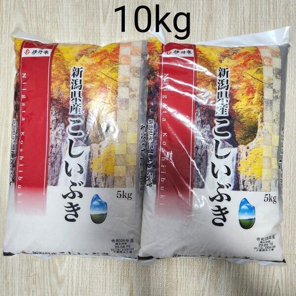 こしいぶき 新潟県産 白米 お米 5kg × 2袋 合計10kg 精米 新潟米 伊丹米