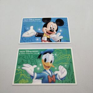 東京ディズニーリゾート 入場券 パスポート 1日券2枚