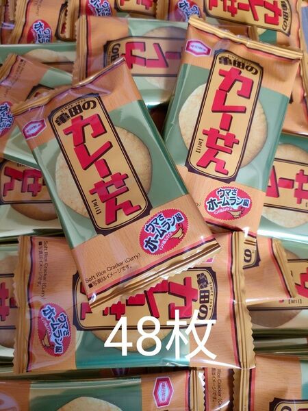 亀田のカレーせん ミニ 48枚 亀田製菓