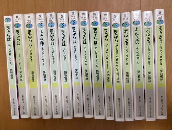 まぶらほ (富士見ファンタジア文庫) 小説15冊セット