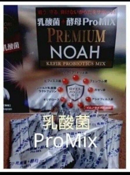 乳酸菌+酵母 ProMix PREMIUM NOAH プレミアムノア 10包