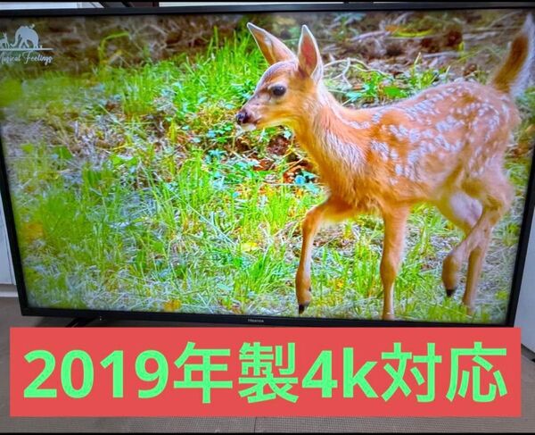 美品 Hisense 50A6100 50型2019年製上地、BS/CS、4k液晶 テレビ