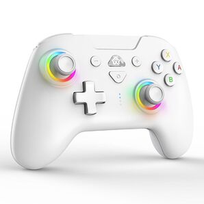 Switch コントローラー 未使用