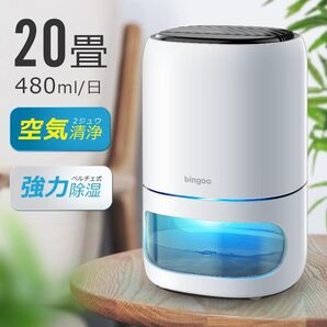 小型除湿機 20畳 1000ml大容量 湿気対策 空気清浄 自動オフ ペルチェ式 自動霜取り タイマー付き PM2.5対応 白