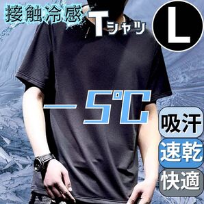 Tシャツ L メンズ トップス 熱中症対策 接触冷感 無地 黒 速乾 吸汗 メッシュ ブラック カットソー